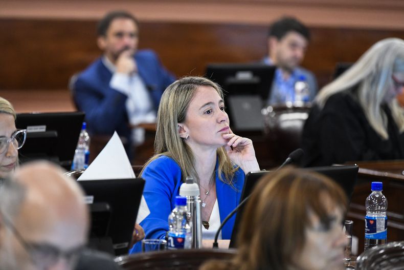 Andrea Zoff, diputada de Más para Entre Ríos, presentó el proyecto para beneficiar a las pymes. Lo respaldó con la firma de la mayoría de su bloque.
