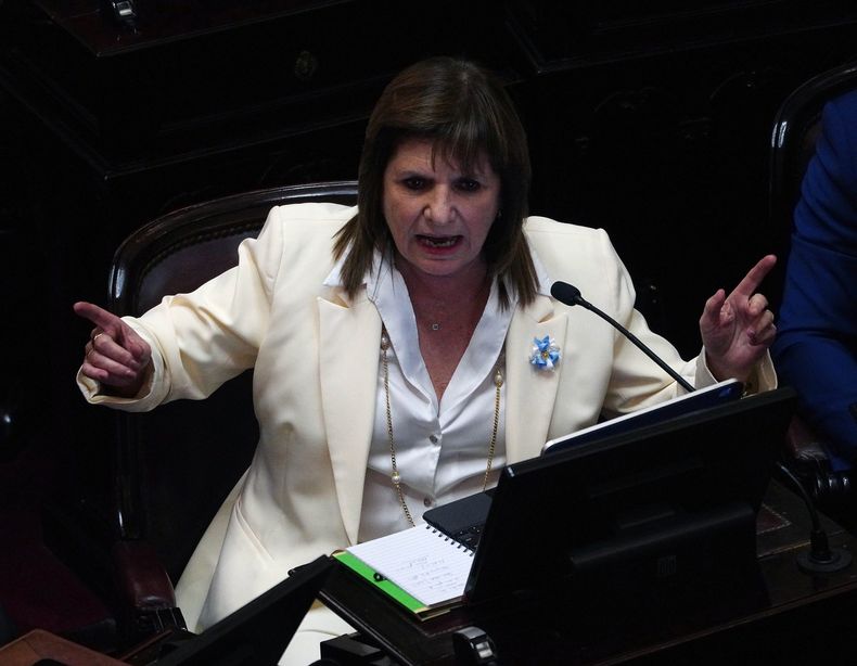 Patricia Bullrich, en el Senado.&nbsp;