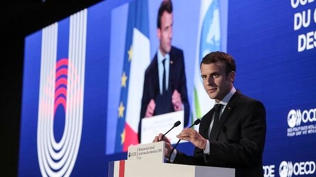 la ocde alerta que cayo confianza en una argentina que suena ingresar