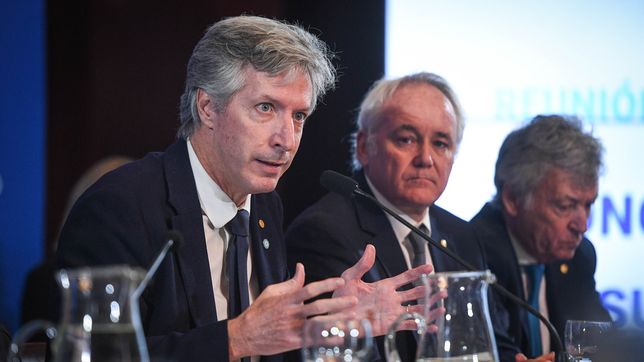 Santiago BasuilI, presidente del BCRA, en el Senado.&nbsp;