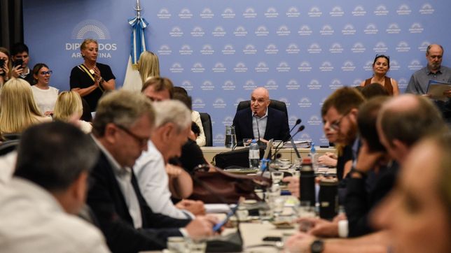 José Luis Espert, en la Comisión de Presupuesto.&nbsp;