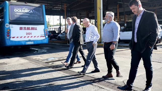 el conflicto del transporte, un semaforo amarillo en la campana de massa  el conflicto del transporte, un semaforo amarillo en la campana de massa