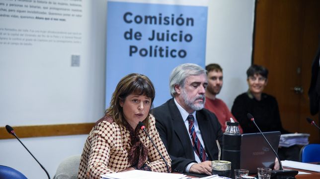 el funcionario que echo la corte lleva la interna de los jueces al congreso