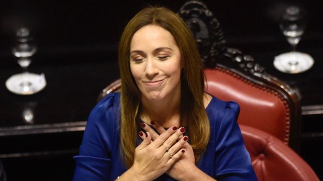 la hora del ultra vidalismo: biotipo de los leales que llegan a la legislatura