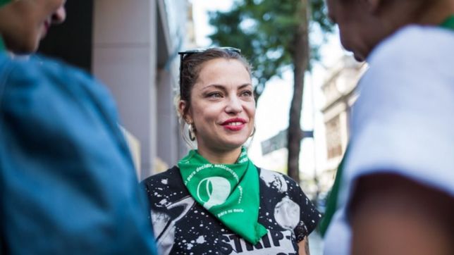 aborto: le exigen a michetti un ?correcto tratamiento? de la ley