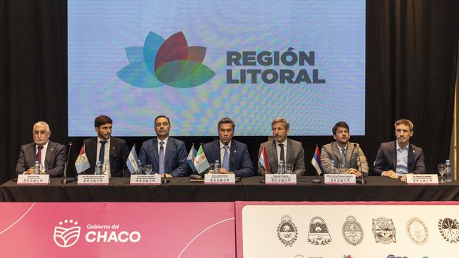 Los gobernadores de la Región Litoral eligieron y un apoyo encubierto a Leandro Zdero de cara a las elecciones.