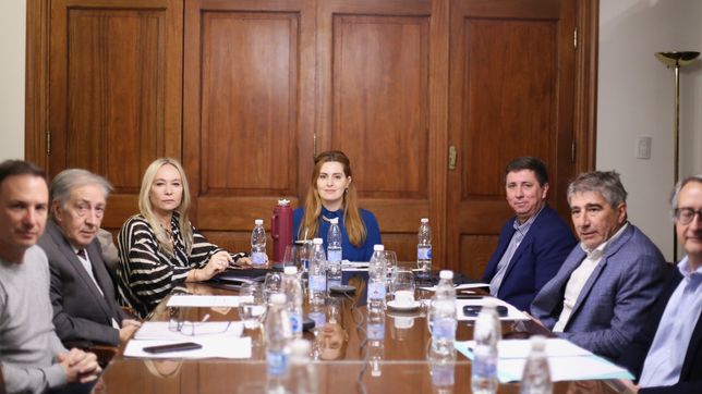 La fiscal general&nbsp; María Cecilia Vranicich, el jueves pasado en la comisión de Acuerdos (sentada a la par de la presidenta Lionella Cattalini).&nbsp; 