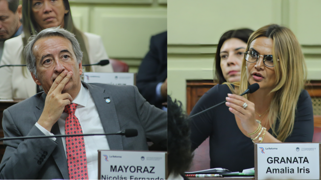 Diario de la Convención de Santa Fe, día cuatro: Granata y Mayoraz reavivaron su guerra sin cuartel