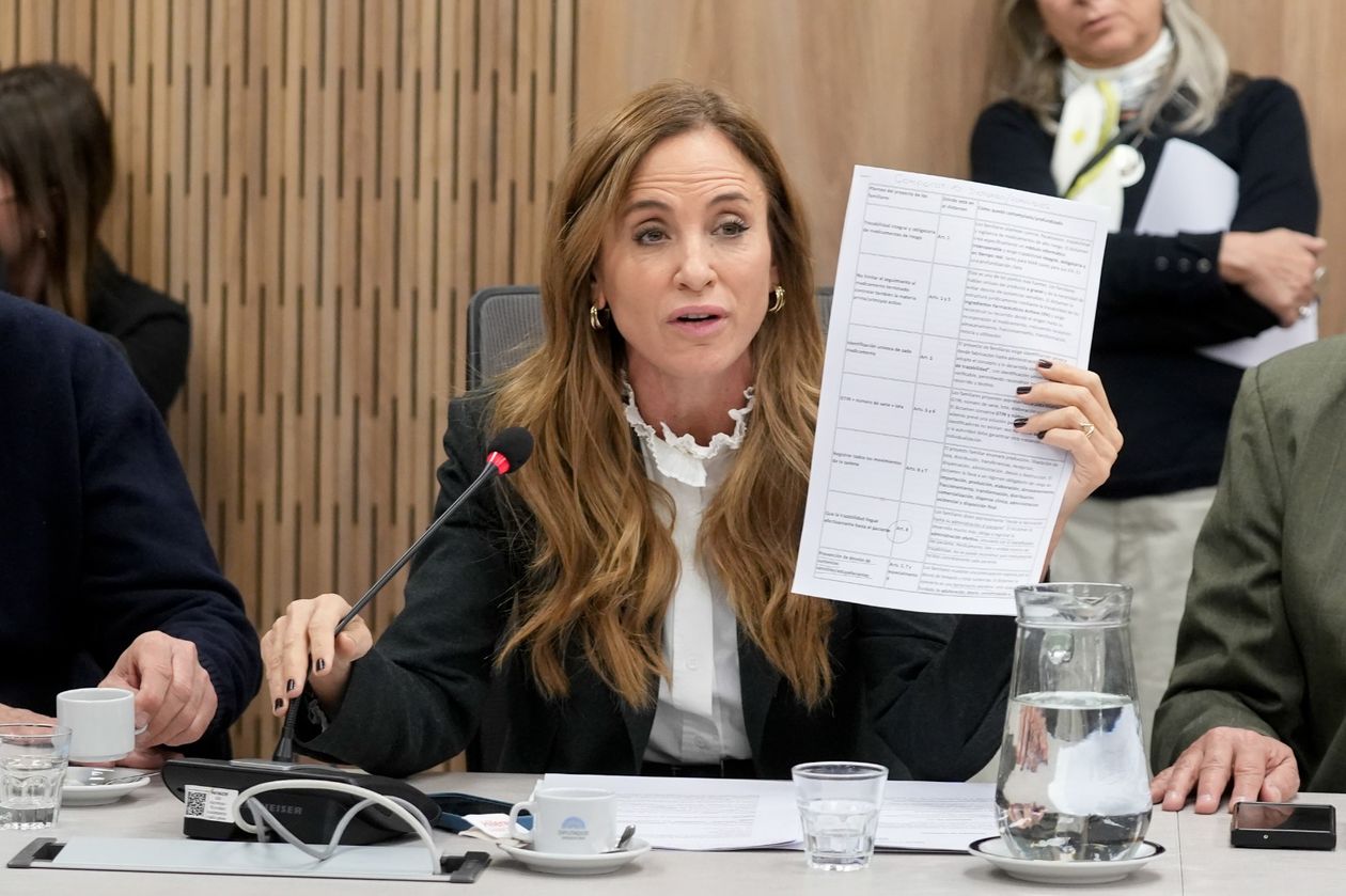Victoria Tolosa Paz (UP), durante el debate en Diputados sobre la ley de trazabilidad que impulsó La Libertad Avanza y deberá aplicar Mario Lugones.&nbsp;
