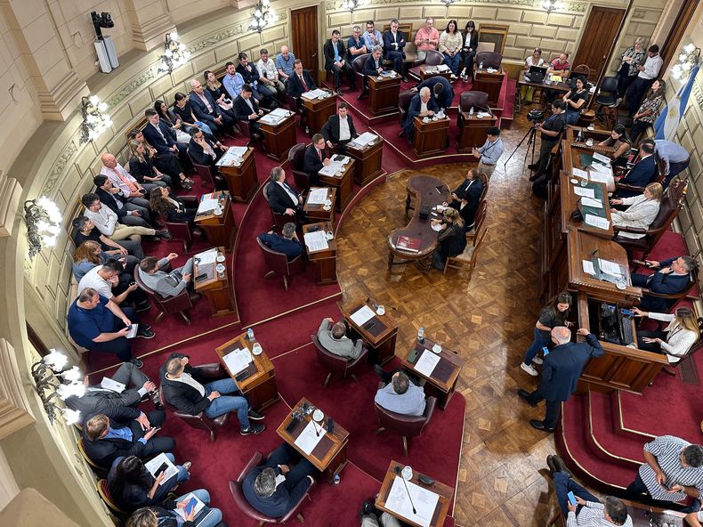 El Senado de Santa Fe aprobó la convocatoria a la Convención Constituyente.