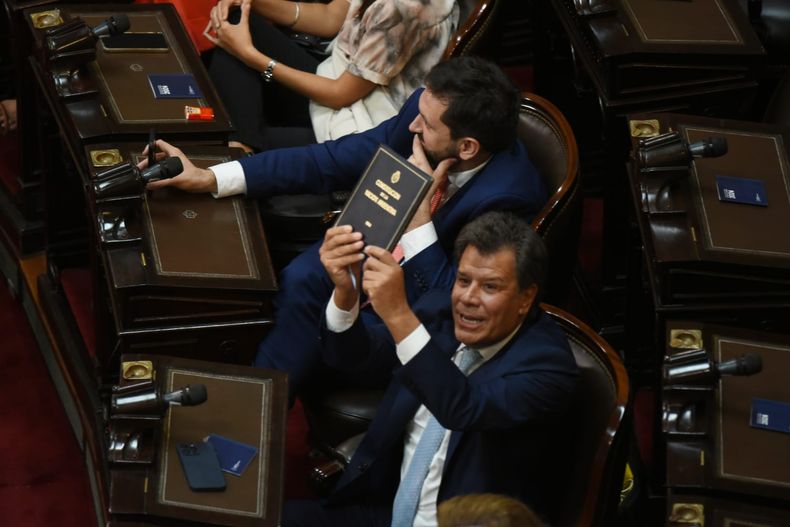 Facundo Manes, Constitución en mano desafiando a Javier Milei.