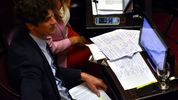 Martín Lousteau, senador de la UCR.