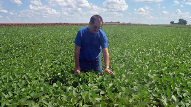 vade retro devaluacion: massa lanza dolar soja 2 en busca de u$s3.000 millones