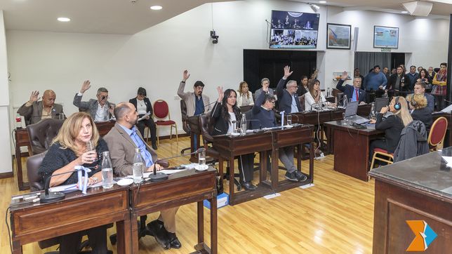 Tierra del Fuego: la oposición tumbó el veto de Melella y dejó la reforma constitucional al filo del abismo