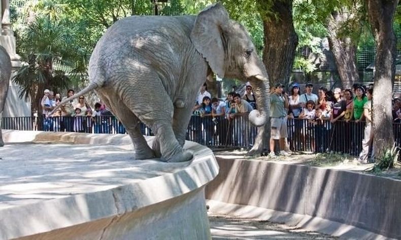 Zoo porteño