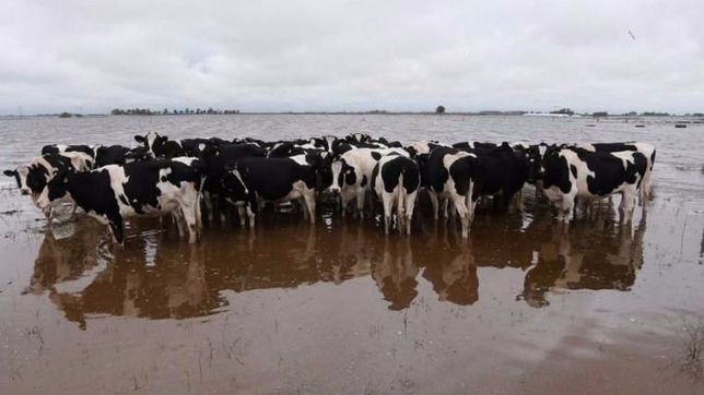 tamberos proponen crear un comite para reparar ?con urgencia? la red vial rural