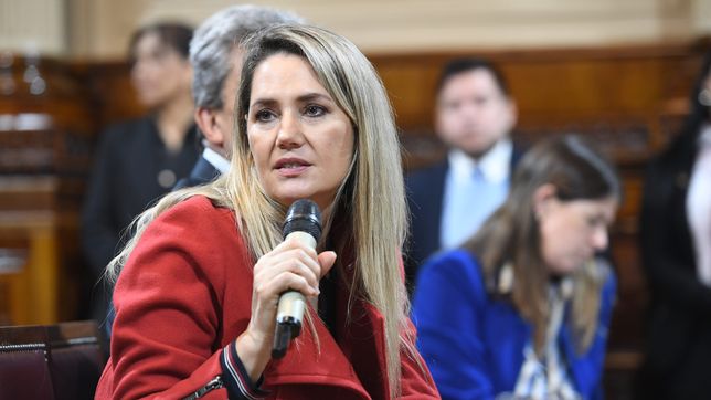 Carolina Losada, senadora de la UCR. Autora del proyecto para tipificar la trata de personas, que se destrabó con el caso Loan. 