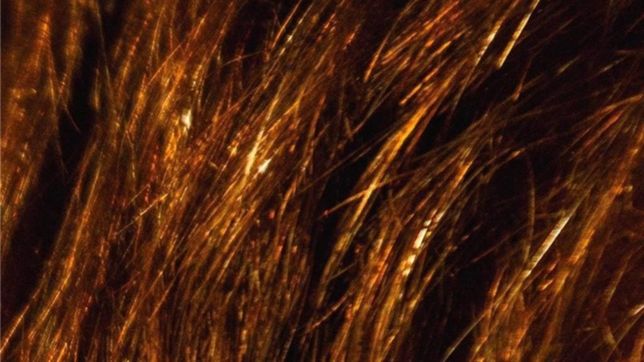 #esjuntos los cerebros de la creatividad posmacrista