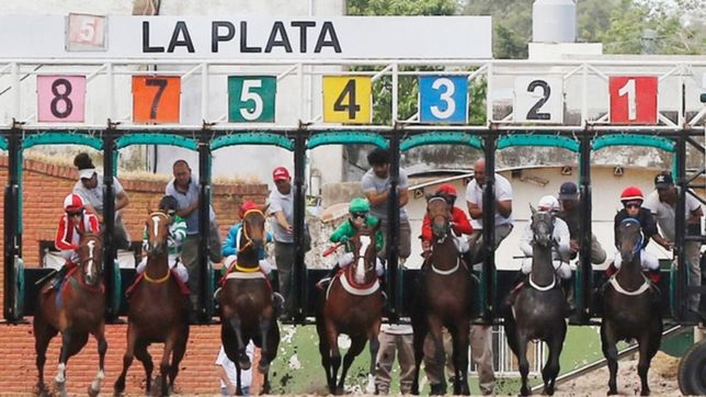 el turf, a vidal: ?si va contra el juego, no puede licitar 3.800 tragamonedas?