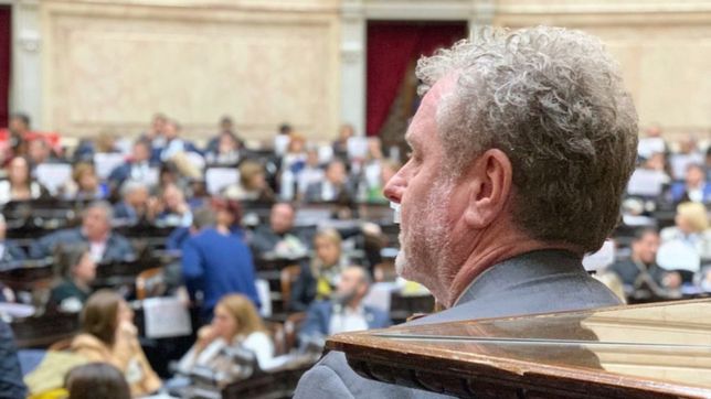 la caida de milman: tras el rechazo de bullrich, puede dejar su banca