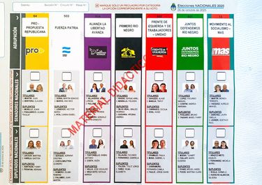 Río Negro: así es la boleta única para votar en las elecciones legislativas del 26 de octubre.