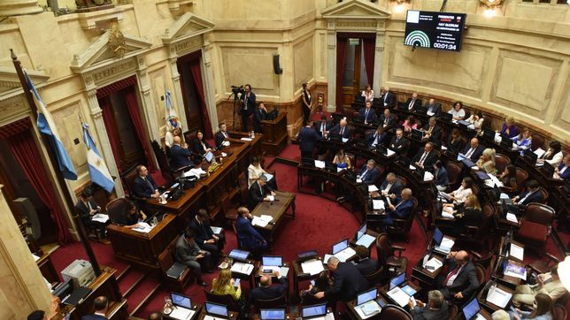 El Senado debate la suspención de las PASO