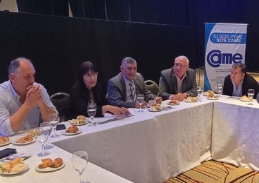 La CAME le pide al Gobierno medidas de prioridad para las pymes