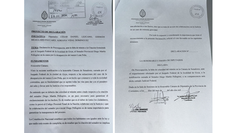 La presentación en la Cámara de Diputados de Corrientes. 