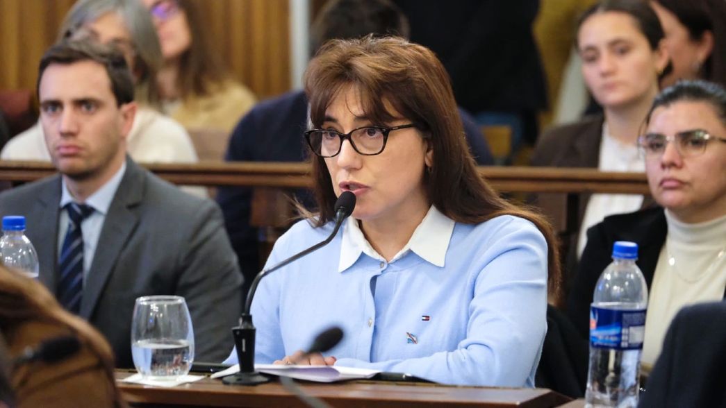 La senadora Domínguez dispara un operativo clamor para suspender las PASO en Entre Ríos.