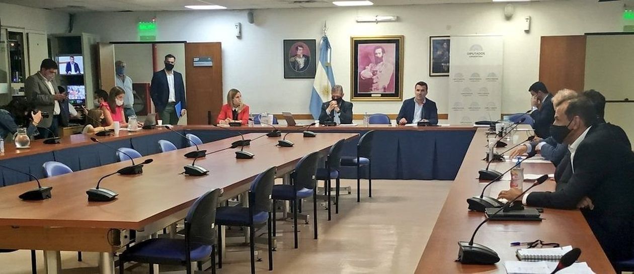 Martínez en Diputados por Biocombustibles
