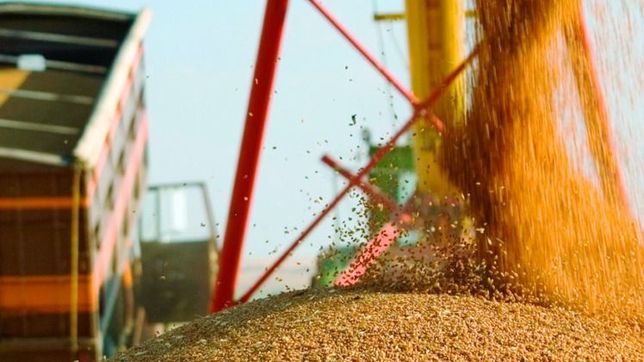 exportaciones bonaerenses: la industria sigue en caida y el agro marca el pulso