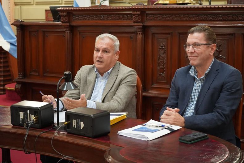 Los legisladores de Unidos, Pablo Farías y Rodrigo Borla presidieron la comisión.