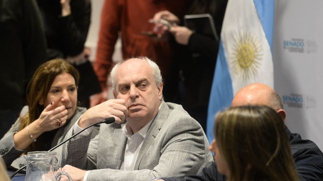 buenos aires: la oposicion armo un piquete transversal y el proyecto pymes no pasa el senado