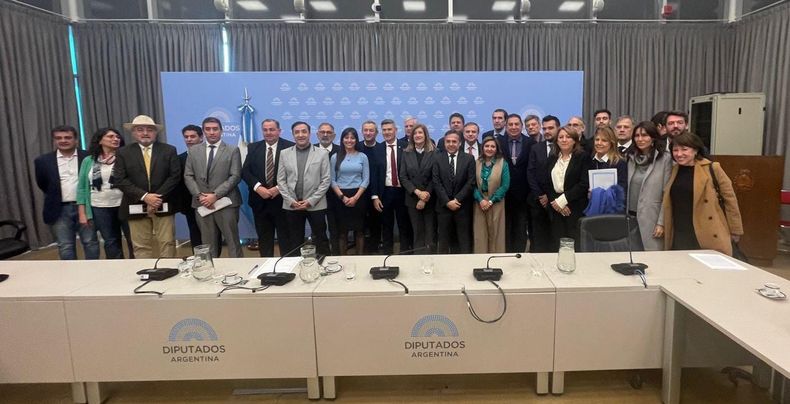Daniel Passerini fue uno de los voceros de los intendentes que llevaron reclamos al Parlamento.