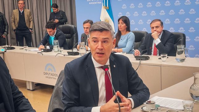 Daniel Passerini durante su exposición en la Cámara de Diputados.