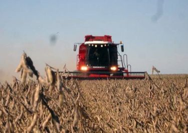 No prende el dólar-soja en el campo bonaerense