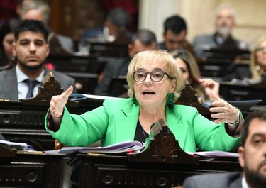 Silvana Giudici, encargada de defender el acuerdo de Toto Caputo.&nbsp;