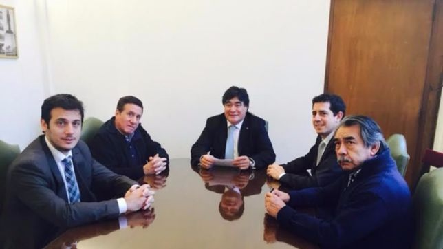 diaz perez va por el senado y le abre el camino a julian alvarez
