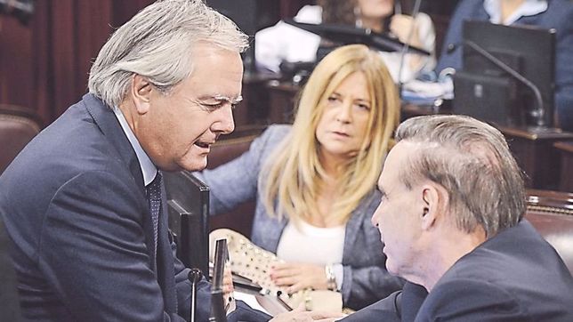 buenos aires, jujuy y santa cruz, tres claves en la renovacion del senado