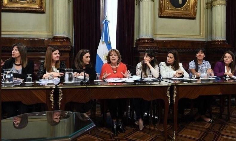 Defensor del Niño