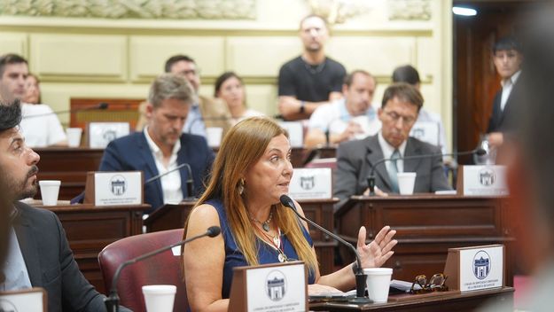 Santa Fe: Celia Arena pide que la provincia implemente un boleto gratuito para personas mayores