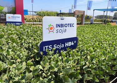 Agricultura cuestionó a Gustavo Idígoras por validar alertas europeas sobre soja HB4