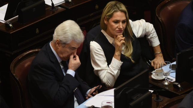 El bloque UCR evitó las interpelaciones por el caso $Libra en el Senado.&nbsp;