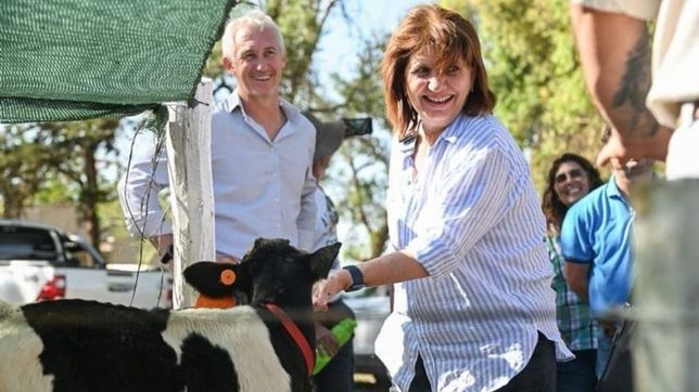 rebelion en el rebano pro: acusan a bullrich de ceder ante el radicalismo