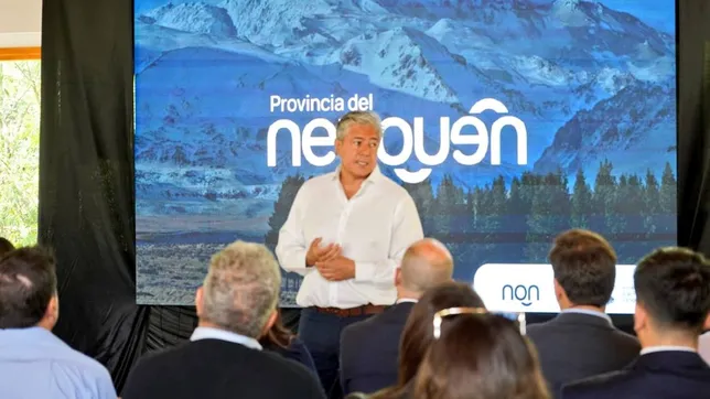 Rolando presentó el Presupuesto ante los bloques legislativos de Neuquén.&nbsp;
