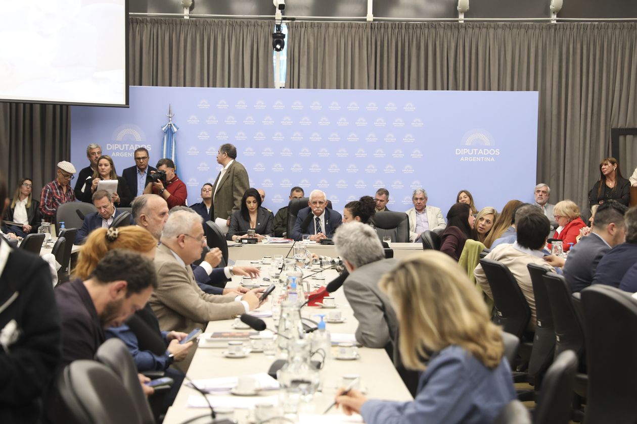 Plenario de comisiones por Malvinas.&nbsp;