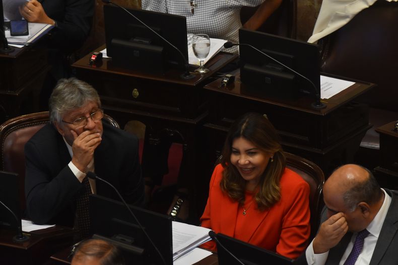 Guillermo Andrada, Sandra Mendoza y Juan Manzur, los votos de UP en el Senado que busca el Gobierno. 