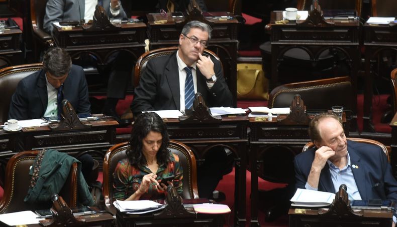 El bloque Unión por la Patria, clave en la oposición.&nbsp;