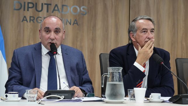 José Peluc y Nicolás Mayoraz, diputados de La Libertad Avanza que representan al Gobierno en la ley de glaciares.&nbsp;