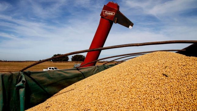 el granero de alberto: crisis mediante, la agrodependencia es la mayor desde 1986